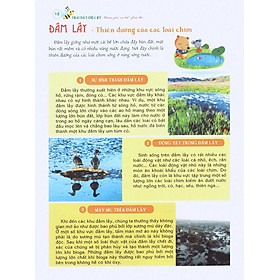 Sách Bách Khoa Tri Thức Đầu Đời Cho Trẻ Em - Trái Đất Diệu Kỳ - Khám Phá "Cơ Thể" Trái Đất