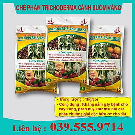 Nấm men ủ Trichoderma 1kg