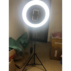Mua ĐÈN LIVESTREAM SIZE 45cm - 2 màu ánh sáng
