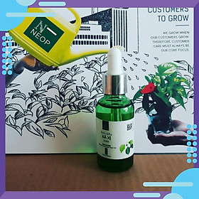 Mua Tinh Dầu Xá Xị OEM30ml – Sarsi Essential Oil