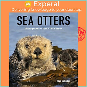 Sách - Sea Otters - Photographs by Tom and Pat Leeson 2024 Wall Calendar by Pomegranate (UK edition, paperback)