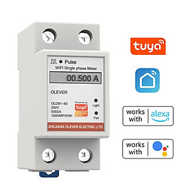 Tuya WiFi Intelligent Metering Energy Meter Singles Phase Meter Mobilephone APP Remotes Viewing Voltage Current Active Power Electricity Consumption Display Meter