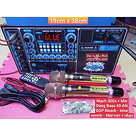Mua Mạch LOA KÉO CÔNG SUẤT LỚN 4 TẤC ĐÔI THẾ HỆ MỚI 300A