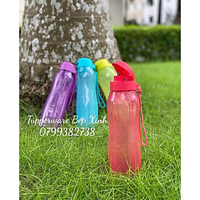 Bình nước Eco Bottle Gen II 1L