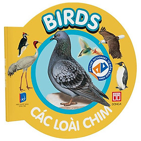 Picture Dictionary - Từ Điển Bằng Hình - Birds - Các Loài Chim - Bìa Cứng