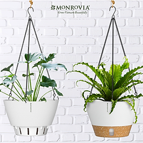 Mua Chậu treo tự tưới MONROVIA cho cây trong nhà và ngoài trời decor không gian sống  có móc treo sắc