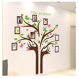 Mua Decal dán tường treo ảnh 14 Amyshop (172 x145 cm)