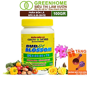 Mua Phân Bón Lá Grow More NPK 6-30-30  GreenHome  Chai 100GR  Kích Ra Hoa  Tăng Đậu Quả