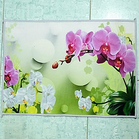Thảm Chùi Chân Hoa Họa Tiết 3D Siêu Thấm Hút, Chống Trượt, Mẫu Mã Đẹp