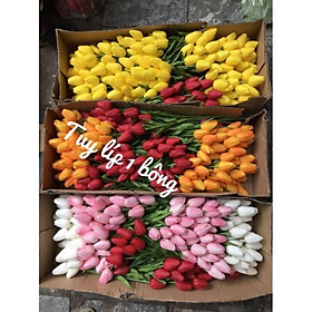 Mua Hoa Tuy Líp Đơn Giả Trang Trí dài 36cm đường kính bông 5cm