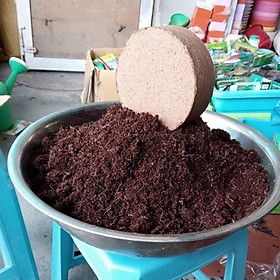Viên nén mùn dừa trồng cây - Mùn dừa viên nén (Đã xử lý chất) - 1 viên 500gram ( KNS5741 )