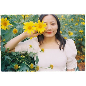 Mua Film Kodak vision 3 50D/5203 - 36 kiểu - iso 50 - Chụp được PNS