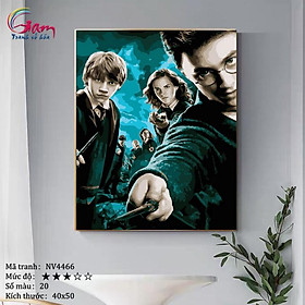 Mua Tranh sơn dầu số hoá tự tô màu Gam NV4466 40x50cm căng sẵn khung