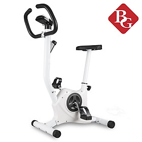 Bg Xe đạp tập thể dục trong nhà Mẫu Exercise Bike: YS02 (hàng nhập khẩu)