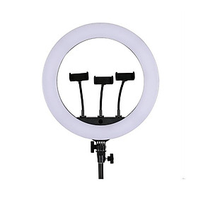 Mua Đèn led ring HQ-18N có điều khiển từ xa  đèn quay phim chụp ảnh chuyên nghiệp