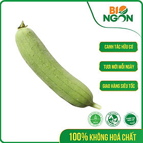 [Chỉ Giao HCM] - Mướp Hương Hữu Cơ (200-250g/trái)