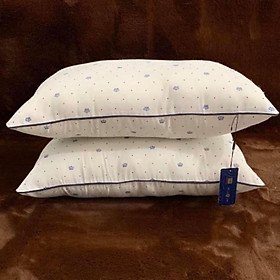 Mua Ruột gối  2 ruột gối nằm  gối hilton kích thước 45x65cm Giá Rẻ