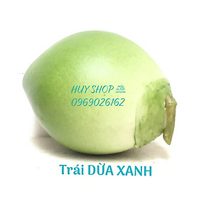 trang trí trái dừa ngày tết