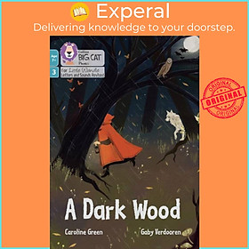 Sách - A Dark Wood - Phase 3 Set 1 Blending Practice by Gaby Verdooren (UK edition, paperback)
