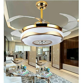 Mua quạt trần trang trí có điều khiển từ xa động cơ DC 6 số ( bảo hành 2 năm)