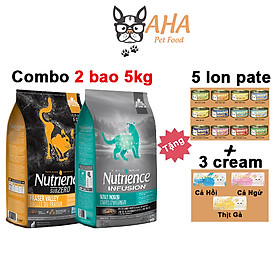 Thức Ăn Cho Mèo (Combo 2 Bao 5kg) Nutrience Tặng 5 Lon Pate + 3 Sốt Kem Aatas Cat Da Lông, Nhận Thức Trí Não