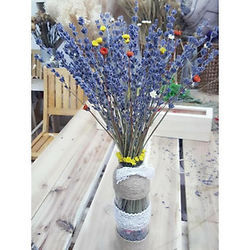Mua Lọ kèm hoa Lavender mix Snowy trang trí Ali Decor