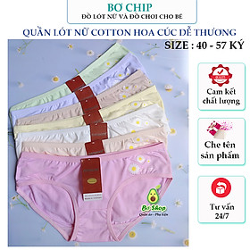 [40-55 Ký] Sét 10 Quần Lót Nữ Cotton Hoa Cúc Mền Mại Co dãn 4 chiều FREESIZE 40-55kg 227 - Bơ Chip