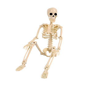 Mini Skeleton with Joints Movable Posing for Office Bookshelf Haunted House