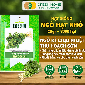 Mua Hạt Giống Ngò Rí Greenhome  Gói 20gr  Dễ Trồng Quanh Năm  Nảy Mầm Cao  Thu Hoạch Nhanh  Năng Suất Cao G03