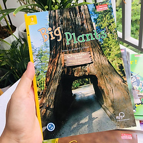 Big Plants - Leveled Reader with Downloadable Audio