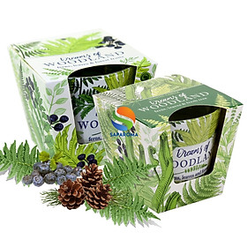 Mua Combo 2 ly nến thơm tinh dầu Bartek Dream of Woodland 115g - cây dương sỉ  nến trang trí  thơm phòng  thư giãn  hỗ trợ khử mùi
