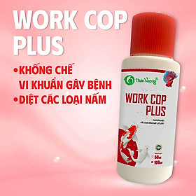 Chuyên diệt các loại nấm gây lở loét trên cá - WORK COP PLUS