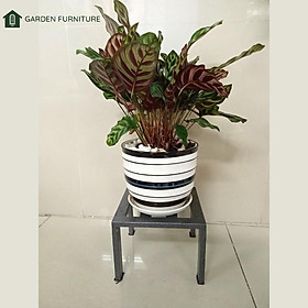 Mua Kệ sắt vuông để chậu cây  các mẫu ghế sắt nhỏ kê chậu cây cảnh bền  tiện lợi  gọn gàng -KT 20X20X15cm