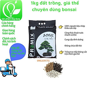 Mua 1kg đất trồng  giá thể chuyên dụng dành cho bonsai  cây cảnh trộn sẳn akadama pumic lava nhập khẩu Nhật Bản