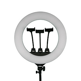 Hình ảnh Đèn led HD Ring RL 22 chiếu sáng Studio, makeup, quay phim , chụp ảnh,livetream