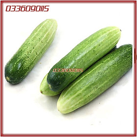 1g Hạt giống dưa leo chịu nhiệt, dưa chuột cao sản - hạt tuyển chọn loại 1