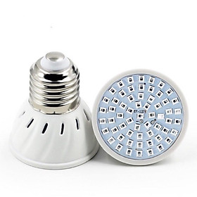 Mua ĐÈN LED QUANG PHỔ TRỒNG CÂY - ĐÈN LED TRỒNG CÂY TRONG NHÀ