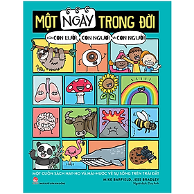 Một Ngày Trong Đời Của Con Lười, Con Ngươi Và Con Người