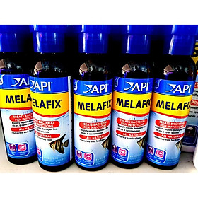 Dung dịch kháng khuẩn cao cấp MELAFIX 473 ML dành cho cá Rồng, Koi
