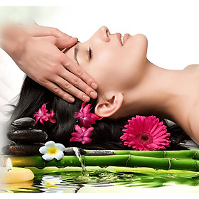 Chăm sóc tóc bằng thảo dược LESSAM Spa( 40')