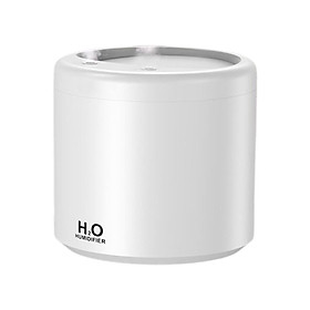 Portable Mist Humidifier USB Powered Evaporative Humidifiers Air Humidifier for  Bedroom