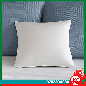 Mua Combo 2 Ruột Gối  Hơi Cao Cấp 40 X 60Cm - CH Hương Thị Miễn Phí Vận Chuyển