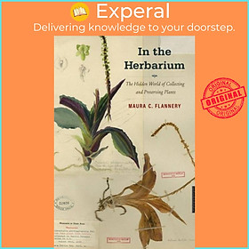 Sách - In the Herbarium - The Hidden World of Collecting and Preserving Pla by Maura C. Flannery (UK edition, hardcover)