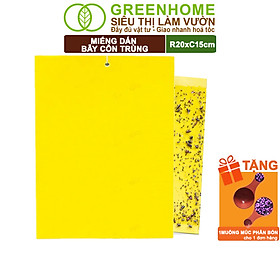 Mua Miếng Dán Bẫy Côn Trùng Greenhome  R15xC20cm  2 Mặt  Siêu Dính  Hiệu Quả  Tiết Kiệm Chi Phí  Thân Thiện Môi Trường