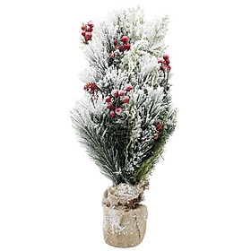 Mua Cây Thông Mini Phủ Tuyết 60 cm - Chaang Chiia LP-M6-HS-60CM