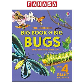 Sách ngoại văn: Big Book Of Big Bugs - Hard Back