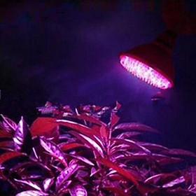 E27 LED Grow Light Bulbs Full Spectrum Grow Lamp for Indoor Plants