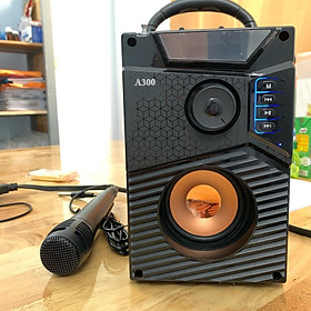 Mua Loa bluetooth karaoke  Loa xách tay karaoke bluetooth di động A300 - Top 5 mẫu loa karaoke cực hay mẫu mới nhất 2020