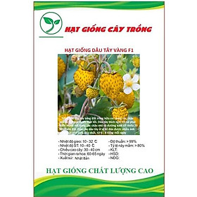 Hạt giống dâu tây vàng chịu nhiệt CT292 - Gói 100 hạt