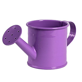 Bình Tưới Trang Trí